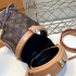 Louis Vuitton Bag 054